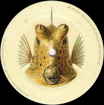 LP Sensational: ReCast