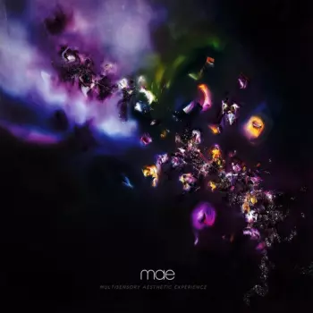 Multisensory Aesthetic Experience