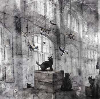 CD/DVD Magenta: The Twenty Seven Club