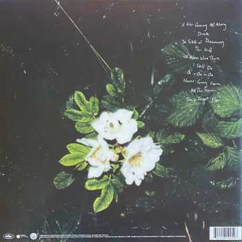 LP Maggie Rogers: Don't Forget Me CLR