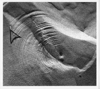 CD Makiko Hirabayashi: Binocular