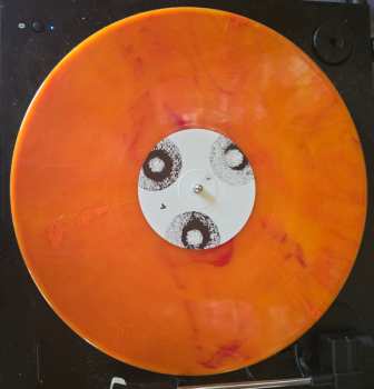 LP Mammoth Penguins: Here CLR | LTD