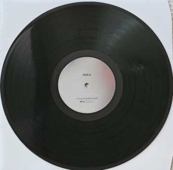 LP Manic Youth: Perfect Health