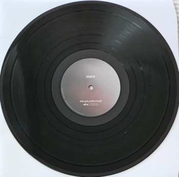 LP Manic Youth: Perfect Health