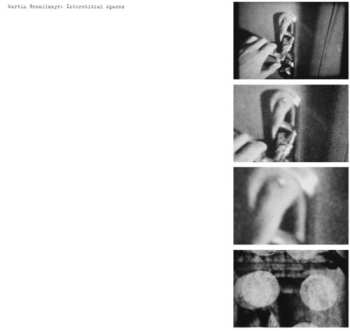 Album Martin Brandlmayr: Interstitial Spaces