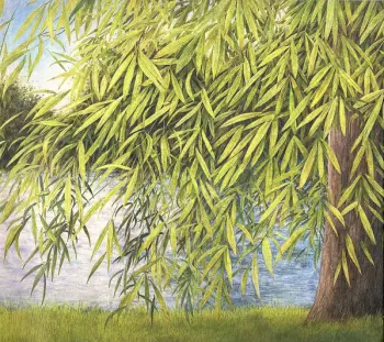 Nothing But Green Willow (The Songs Of Mary Sands And Jane Gentry)