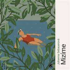 Album Martina Hudečková: Sebauerová: Mizíme