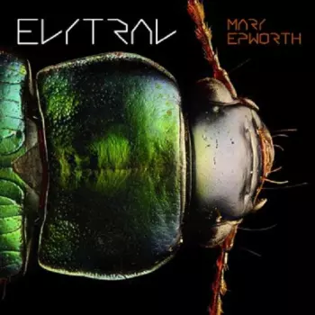 Mary Epworth: Elytral