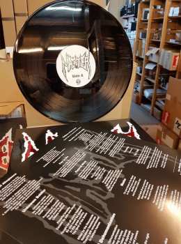 LP Master: Master