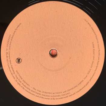 LP Matthew Halsall: Changing Earth EP LTD