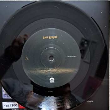 SP Mauro Ermanno Giovanardi: Cosa resterà - Omaggio a P.P. Pasolini LTD