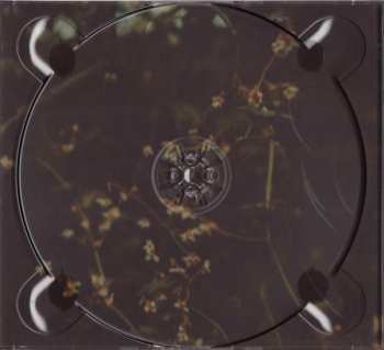 CD Mayday Parade: Sunnyland