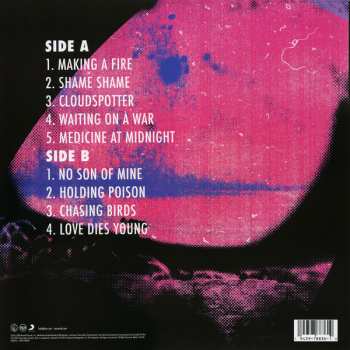 LP Foo Fighters: Medicine At Midnight