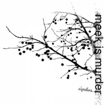 LP Meek Is Murder: Algorithms CLR | LTD