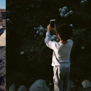 CD Mega Bog: Life, And Another