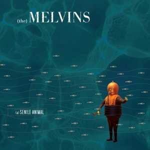 2LP Melvins: (A) Senile Animal CLR | LTD