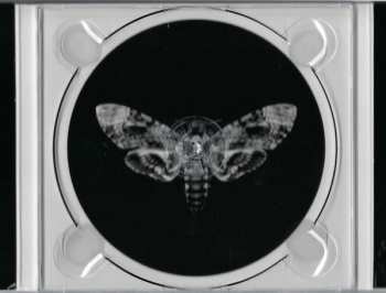 CD Mi And L'Au: If Beauty Is A Crime