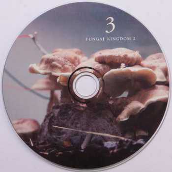 3CD/Zestaw pudełkowy Michael Prime: Bioelectrical Music