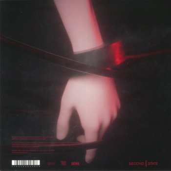 2LP Michael Klein: Snapshot