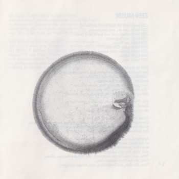 CD Michael Vetter: Zen - Gong