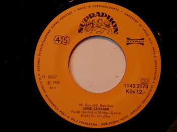 SP Michal David: Jsme Sehraní ✽ Kotě