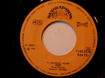 SP Michal David: Jsme Sehraní ✽ Kotě