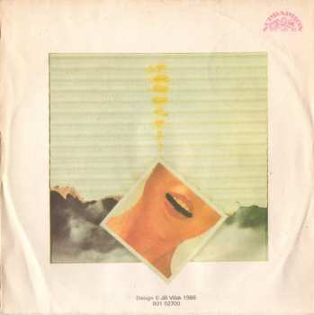 SP Michal David: Teď Jsem Tady Já / Takovýho Chci Tě Mít