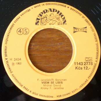 SP Michal David: Non Stop • Všem Se Líbíš