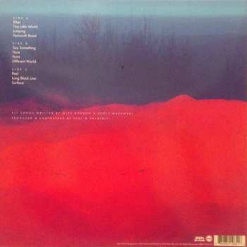 2LP Mike Gordon: Overstep CLR