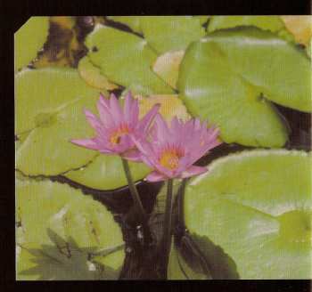 CD Mike Oldfield: Amarok