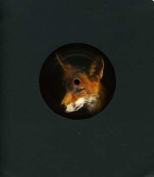 Album Mike Shannon: Foxology EP