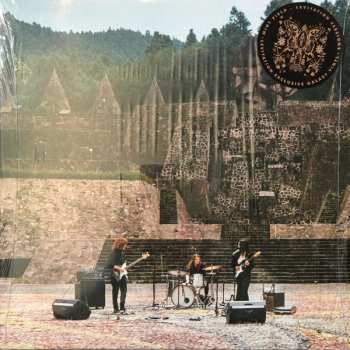 Album Mint Field: Levitation Sessions