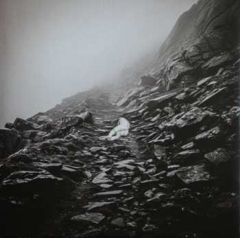 LP מזמור: Alluvion CLR | LTD