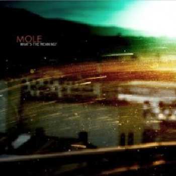 Album Mole: What's The Meaning?