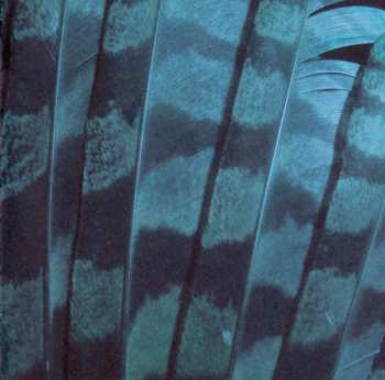 CD Mondkopf: Rising Doom