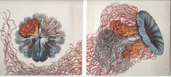 CD Monogrenade: Tantale