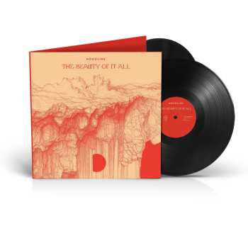 2LP Monolink: The Beauty Of It All