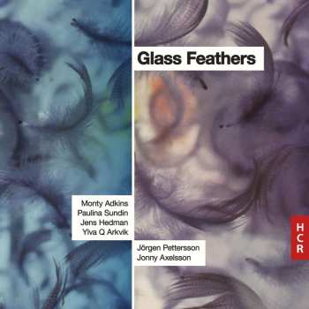Album Jonny Axelsson: Glass Feathers