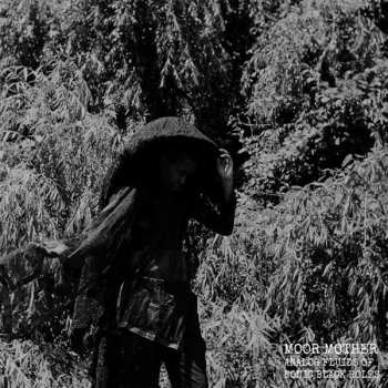 LP Moor Mother: Analog Fluids Of Sonic Black Holes