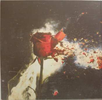2LP Mother's Cake: No Rhyme No Reason
