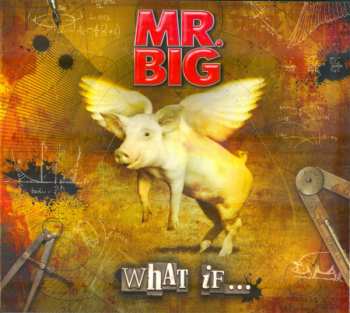 LP/CD/DVD/Zestaw pudełkowy Mr. Big: What If... DLX | DIGI