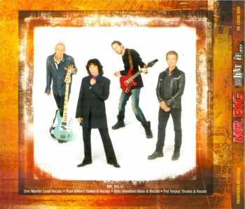 LP/CD/DVD/Zestaw pudełkowy Mr. Big: What If... DLX | DIGI