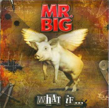 LP/CD/DVD/Zestaw pudełkowy Mr. Big: What If... DLX | DIGI