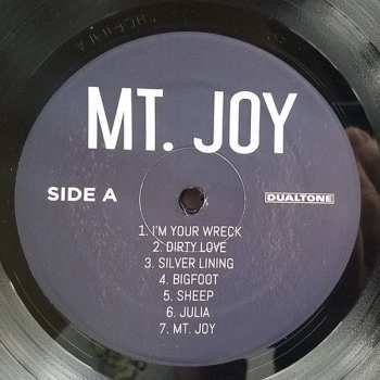 LP Mt. Joy: Mt. Joy