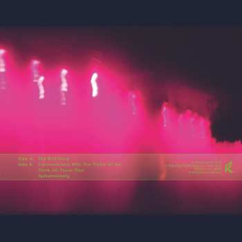 LP Muhal Richard Abrams: Celestial Birds