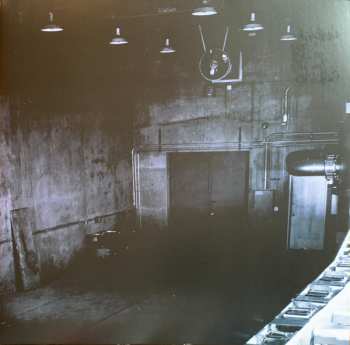 2LP Murcof: Cosmos CLR | LTD