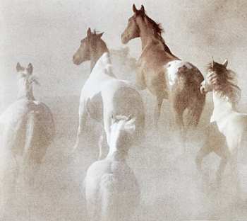 CD Mustang Ford: Stampede