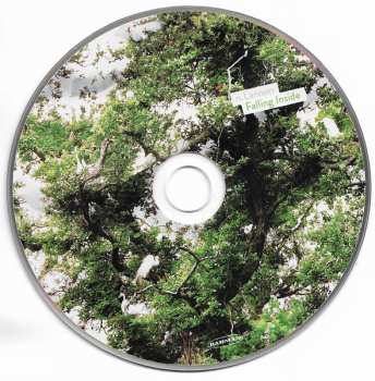 CD Nyles Lannon: Falling Inside