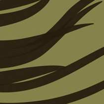 Album Nacht Plank: Septs Vents