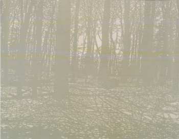 CD Nada Surf: The Stars Are Indifferent To Astronomy